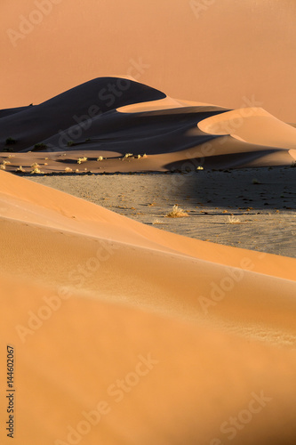 Sand dune abstract.