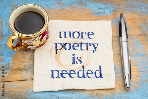 more poetry is needed napkin concept
