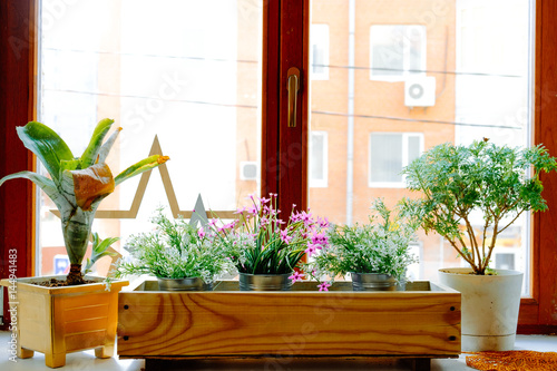 Window and flowerbox. Flowers on the window on a clear sunny day