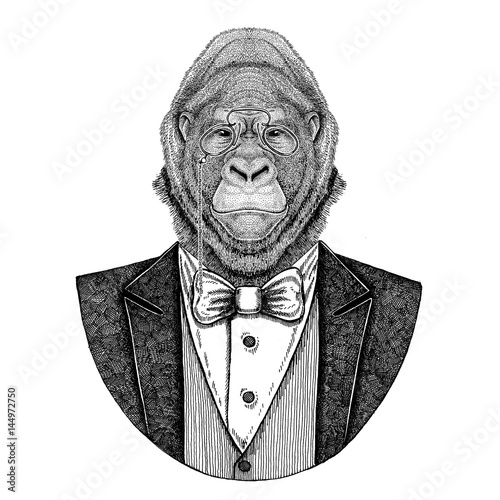 Gorilla, monkey, ape Frightful animal Hipster animal Hand drawn illustration for tattoo, emblem, badge, logo, patch, t-shirt