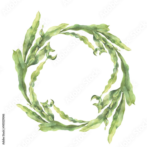 Watercolor wreath with laminaria. Hand painted underwater floral illustration with algae leaves branch isolated on white background. For design, fabric or print.