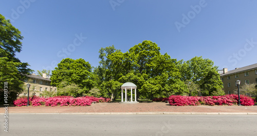 Panorama of gorgeous deep pink azaleas in front of the old well