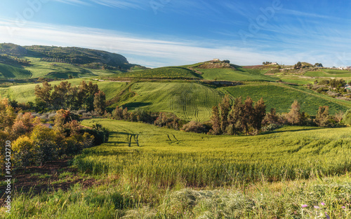 Green Hill Landscape in Central Sicily near Cammarata Mountain in Spring