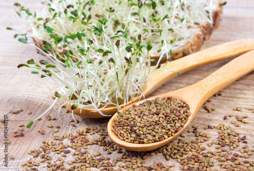 Fresh alfalfa sprouts and seeds - closeup.