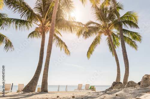 Tropical beach with palm trees and sunny sky 
