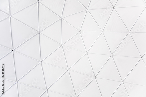 geodesic background