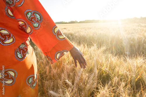 African woman in traditional clothes walking with her hand on a field of crops at sunset or sunrise