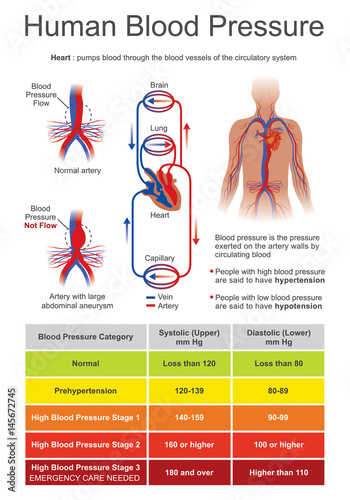 Human Blood Pressure