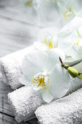 White Orchid on wooden background with towel