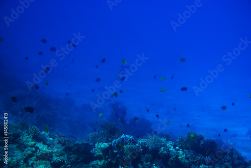 Sea deep or ocean underwater with coral reef as a background