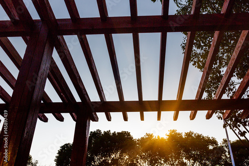 Low Angle View Of Wooden Ceiling Against Tree At Park in Shanghai,China.