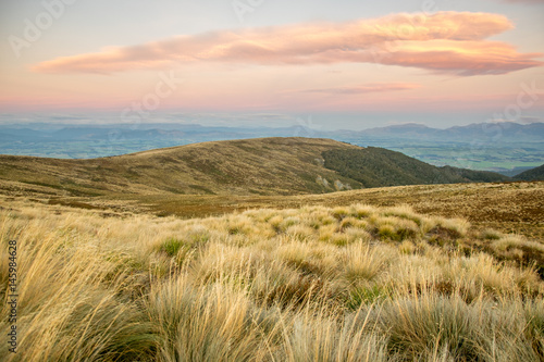 Sunset over tussock meadow, Kepler track, New Zealand