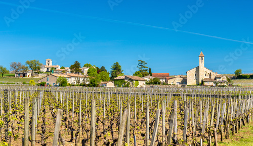 Vineyards near Saint Emilion, France