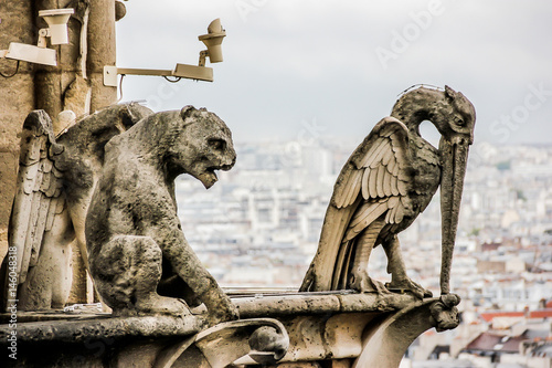 Mythical creature gargoyle on Notre Dame de Paris. View from the tower.