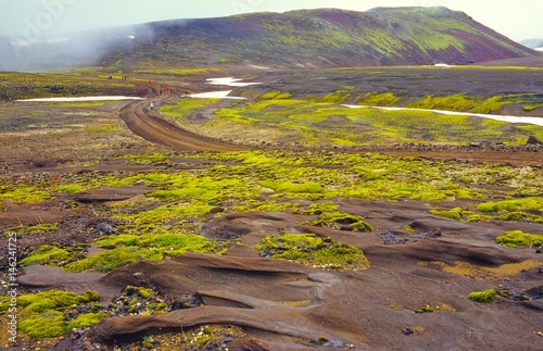 Tundra mit Palagonitstrukturen, Steinen, Moos und anderer, karger Vegetation am Fuß des Snæfellsjökull, Touristen wandern auf Piste, Halbinsel Snæfellsnes, Island/ Iceland, Europa 