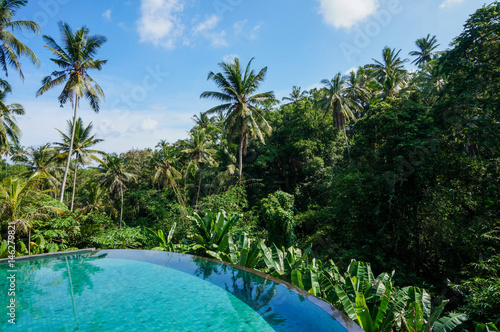 Pool with jungle view