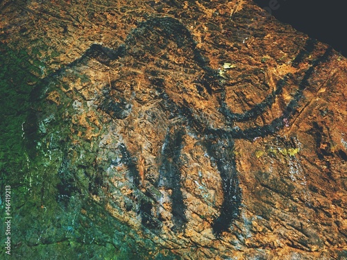  Discovery of human history. Prehistoric art of mammoth in sandstone cave