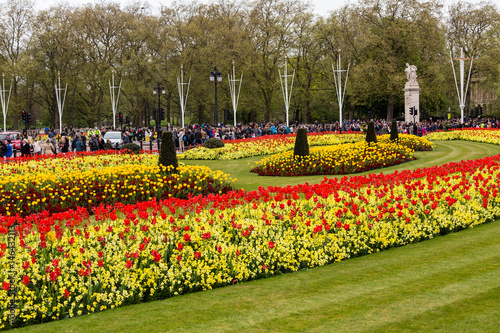 Various floral combinations at Buckingham Palace in London