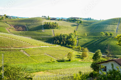 Landscape of Langhe