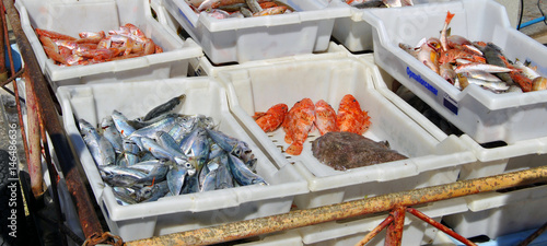 Auslage Fischmarkt Mallorca