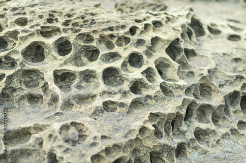 Closeup rock erosion holes sea wall.