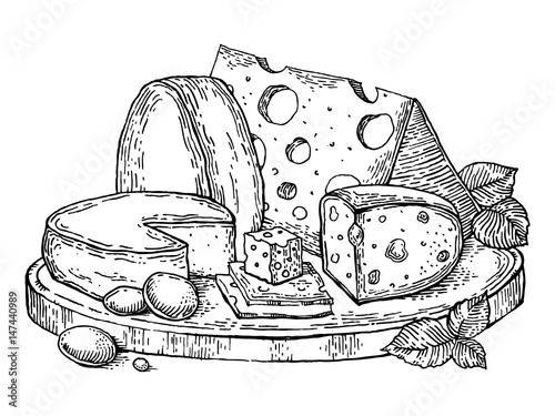 Plate cheese engraving style vector illustration