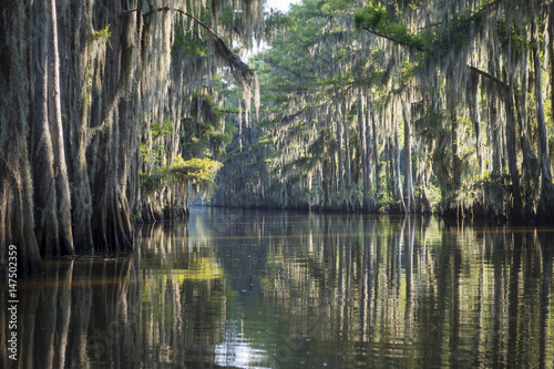 Still misty morning view of the scenic waters of Caddo Lake, the Texas - Louisiana swamp