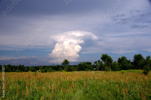 Chmura burzowa cumulonimbus 