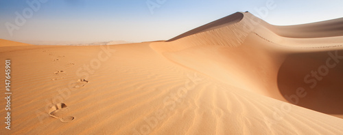 Wzory wydm Pustej dzielnicy - arabskiej pustyni