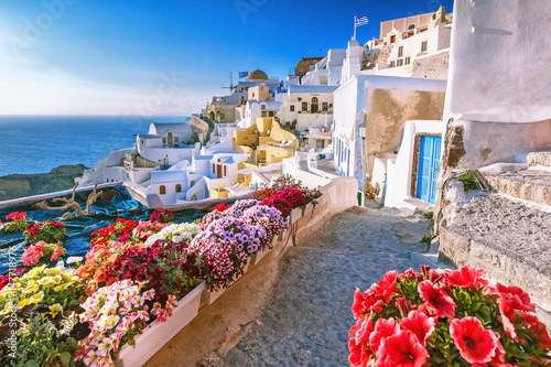 Scenic view of traditional cycladic houses on small street with flowers in foreground, Oia village, Santorini, Greece. Sunset view point. Holidays background.