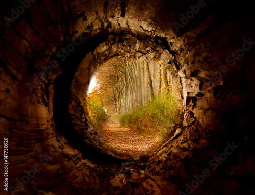 Secret tunnel to the magicforest pathway