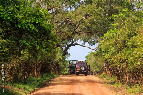 Landscape with road and SUVs in Yala National Park