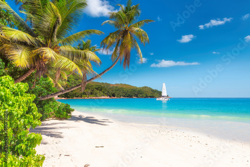 Sandy beach with palm trees and a sailing boat in the turquoise sea on Paradise island.