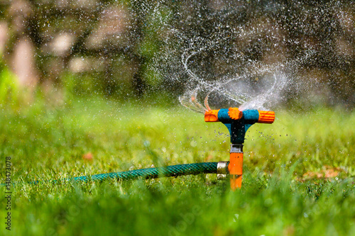 Garden sprinkler watering grass