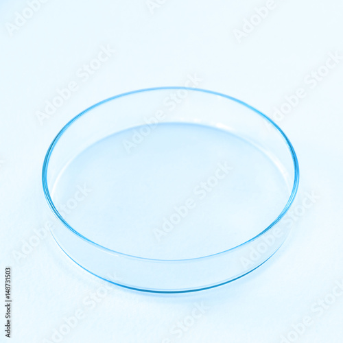 Petri Dish