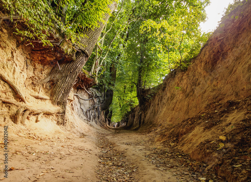 Poland, Lublin Voivodeship, Kazimierz Landscape Park, Gorge Korzeniowy Dol