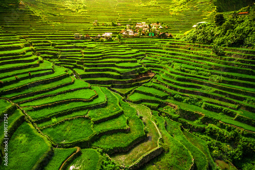 Batad Rice Terraces in Northern Luzon, Philippines.