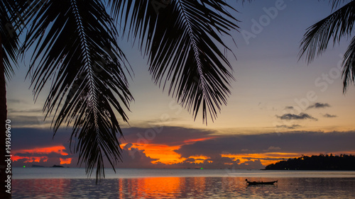 The sun's rays passing through the palm branch. Tropical trees on the coast. Sunset time