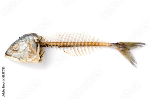 fishbone from roasted mackerel fish on white background