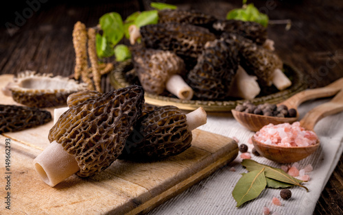 Fresh morchella conica, seasonal mushrooms