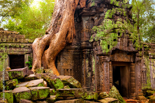 Ta Prohm temple. Ancient Khmer architecture under the giant roots of a tree at Angkor Wat complex, Siem Reap, Cambodia.