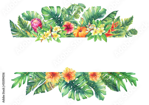 Banner with branches purple Protea flowers, plumeria, hibiscus and tropical plants. Hand drawn watercolor painting on white background.