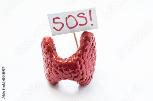 Natural anatomical 3D thyroid model standing with placard with inscription SOS referring to patient or doctor for help. Conceived for all symptoms, syndromes, diseases and pathologies of thyroid gland