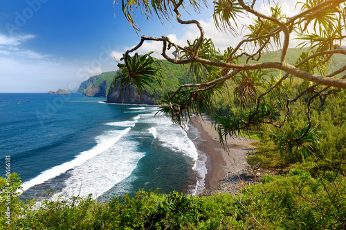 Stunning view of rocky beach of Pololu Valley, Big Island, Hawaii