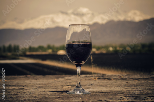 Vinos de Cordillera