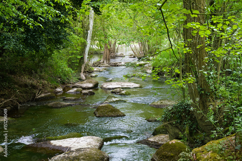 Cours d'eau dans la campagne. Clisson. Loire atlantique, Pays de Loire