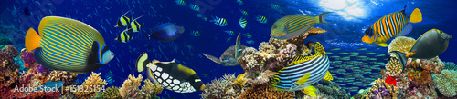 colorful wide underwater coral reef panorama banner background with many fishes turtle and marine life