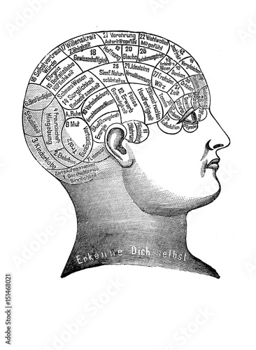 Alternative and pseudo-medicine: phrenology cart about the brain localization of mental functions, vintage engraving