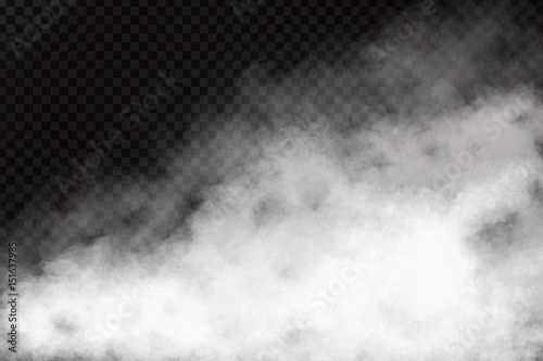 Wektor realistyczny efekt na białym tle dymu na przezroczystym tle. Realistyczna mgła lub chmura do dekoracji.