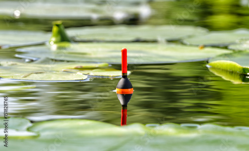 Fishing float in the lake among water lily